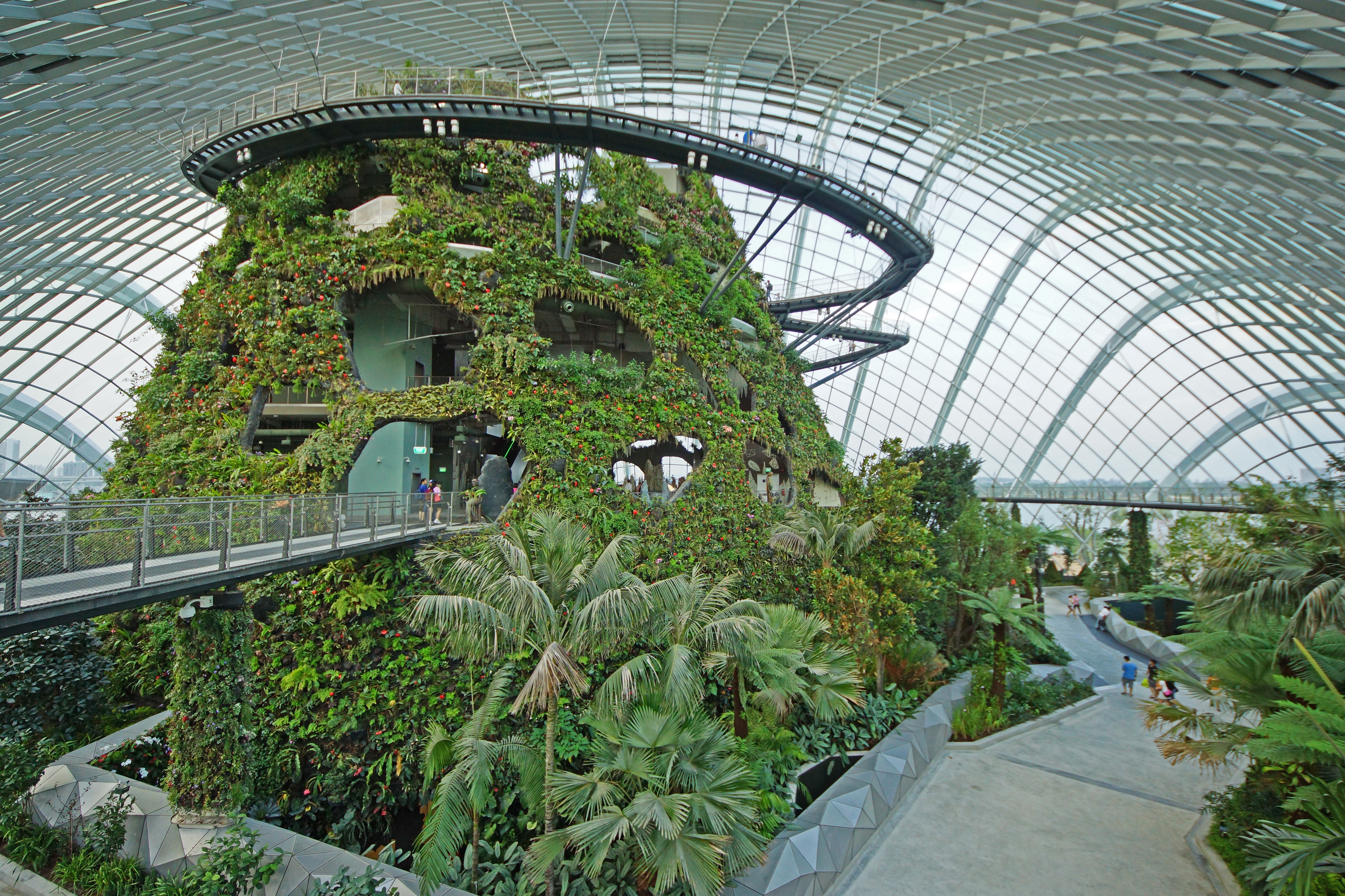 cloud_forest2c_gardens_by_the_bay2c_singapore_-_20120617-05