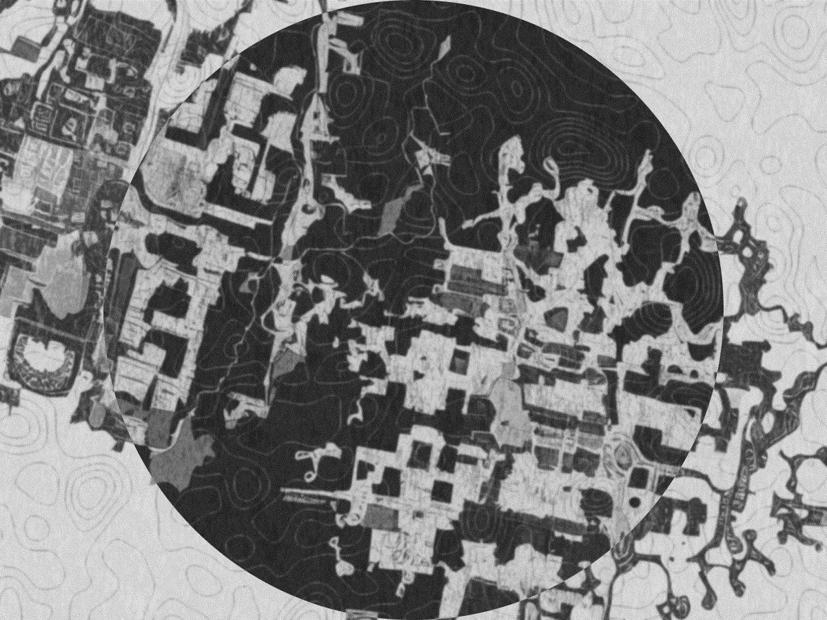 The Organology of the&nbsp;City