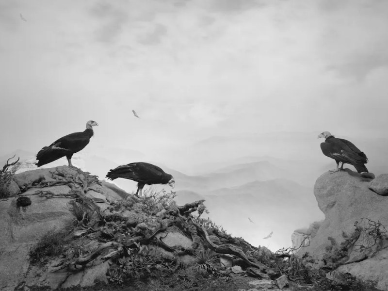 AI Attitudes and Hiroshi&nbsp;Sugimoto